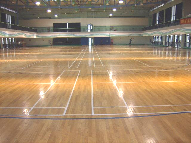 卢湾体育馆羽毛球场体育地板